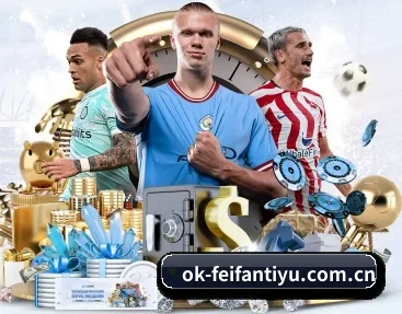 覆盖全球主流联赛（FeiFanSports）